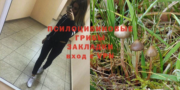 стафф Баксан