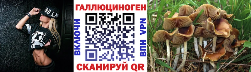 blacksprut зеркало Нижние Серги Галлюциногенные грибы прущие грибы